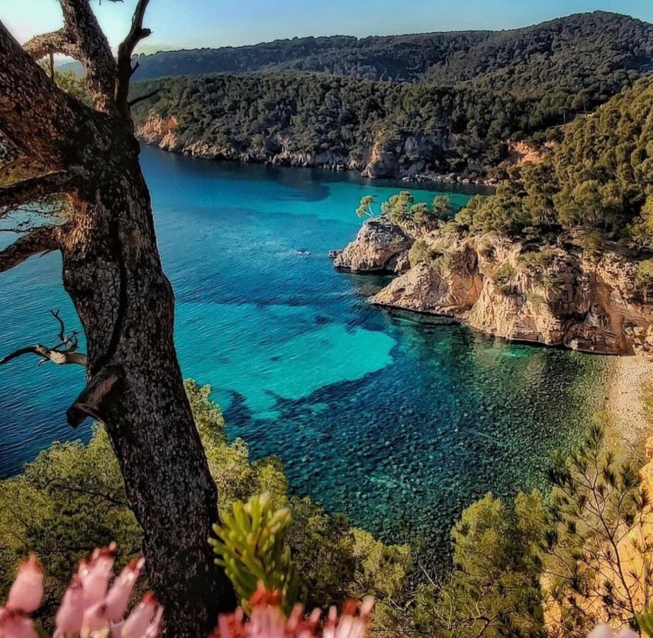 Logement Vue Mer Splendide - Situe A 50 Metres Du Bord De Mer Et 2 Minutes Des Plages - Bandolina Exteriér fotografie