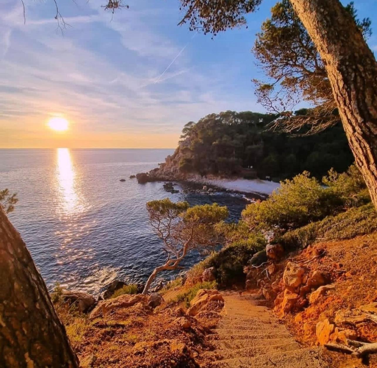 Logement Vue Mer Splendide - Situe A 50 Metres Du Bord De Mer Et 2 Minutes Des Plages - Bandolina Exteriér fotografie
