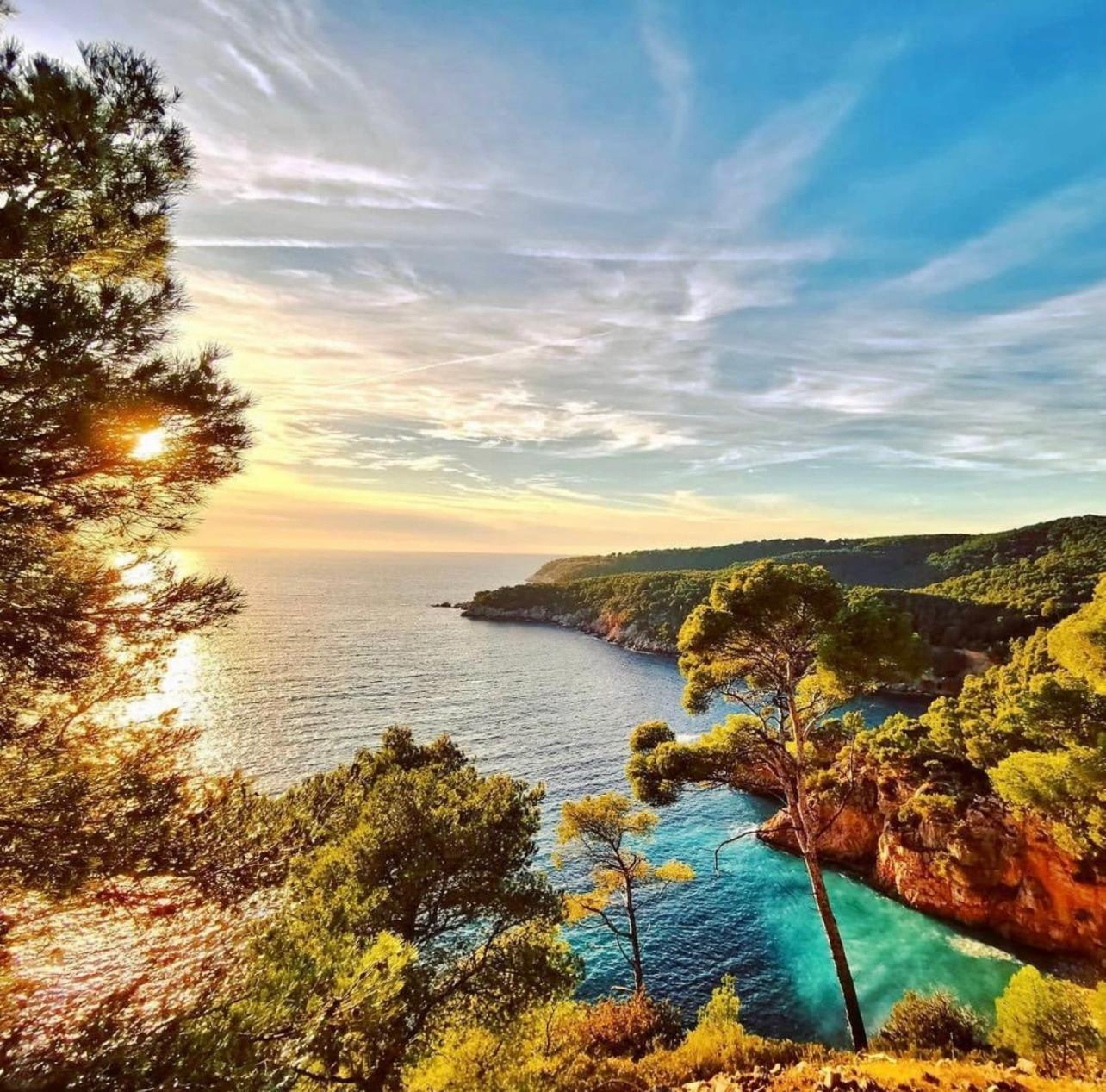Logement Vue Mer Splendide - Situe A 50 Metres Du Bord De Mer Et 2 Minutes Des Plages - Bandolina Exteriér fotografie