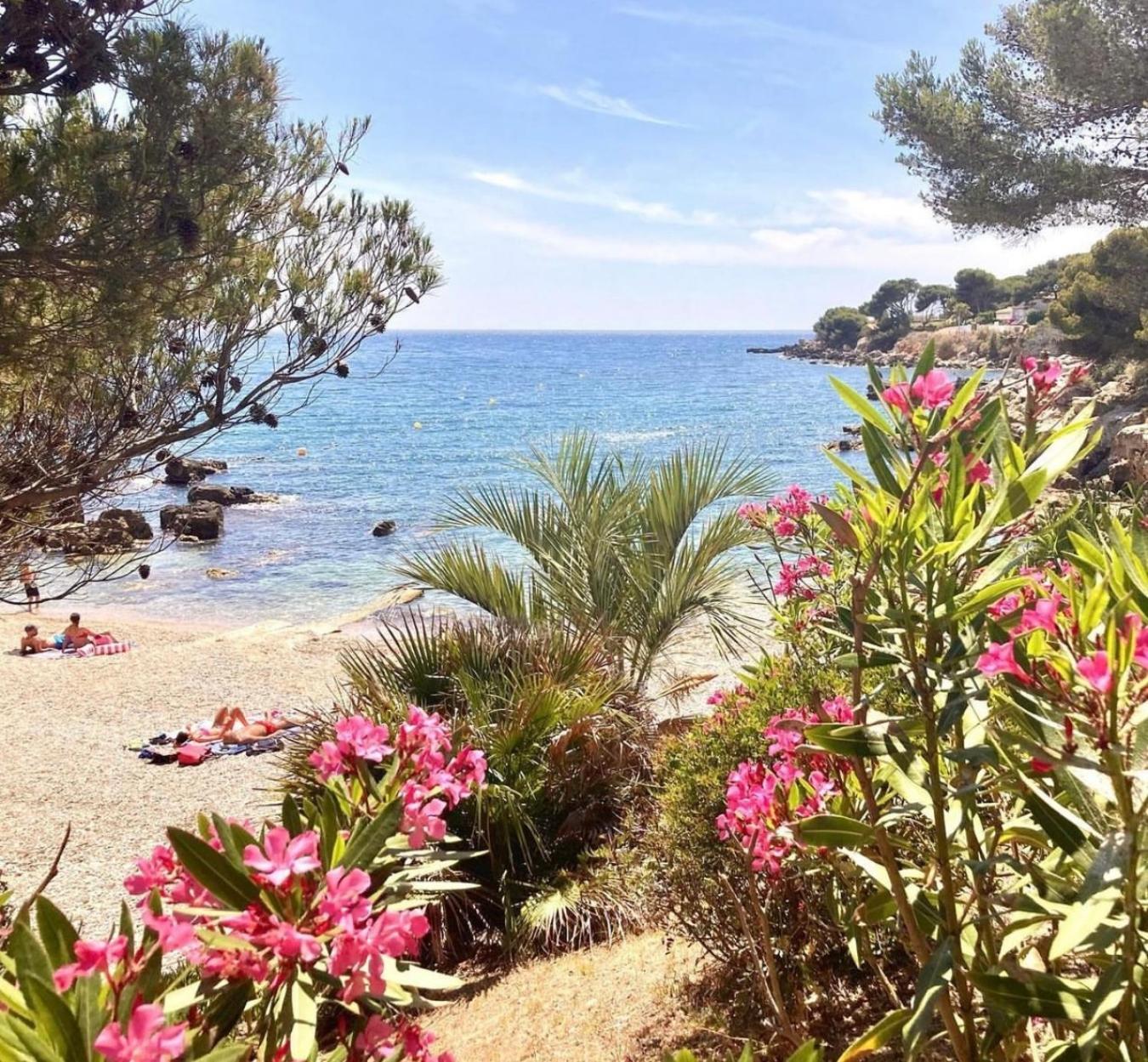 Logement Vue Mer Splendide - Situe A 50 Metres Du Bord De Mer Et 2 Minutes Des Plages - Bandolina Exteriér fotografie