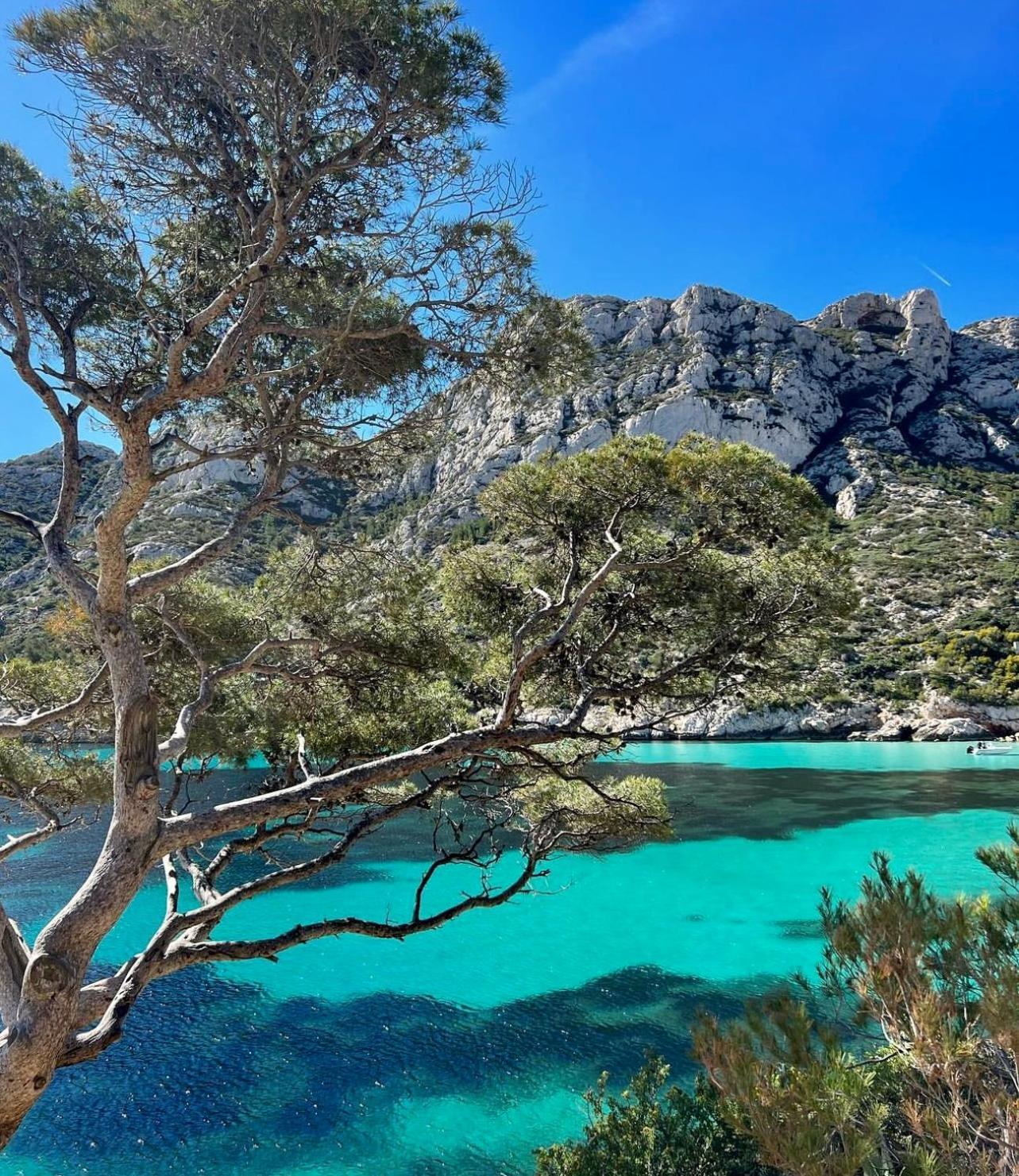 Logement Vue Mer Splendide - Situe A 50 Metres Du Bord De Mer Et 2 Minutes Des Plages - Bandolina Exteriér fotografie