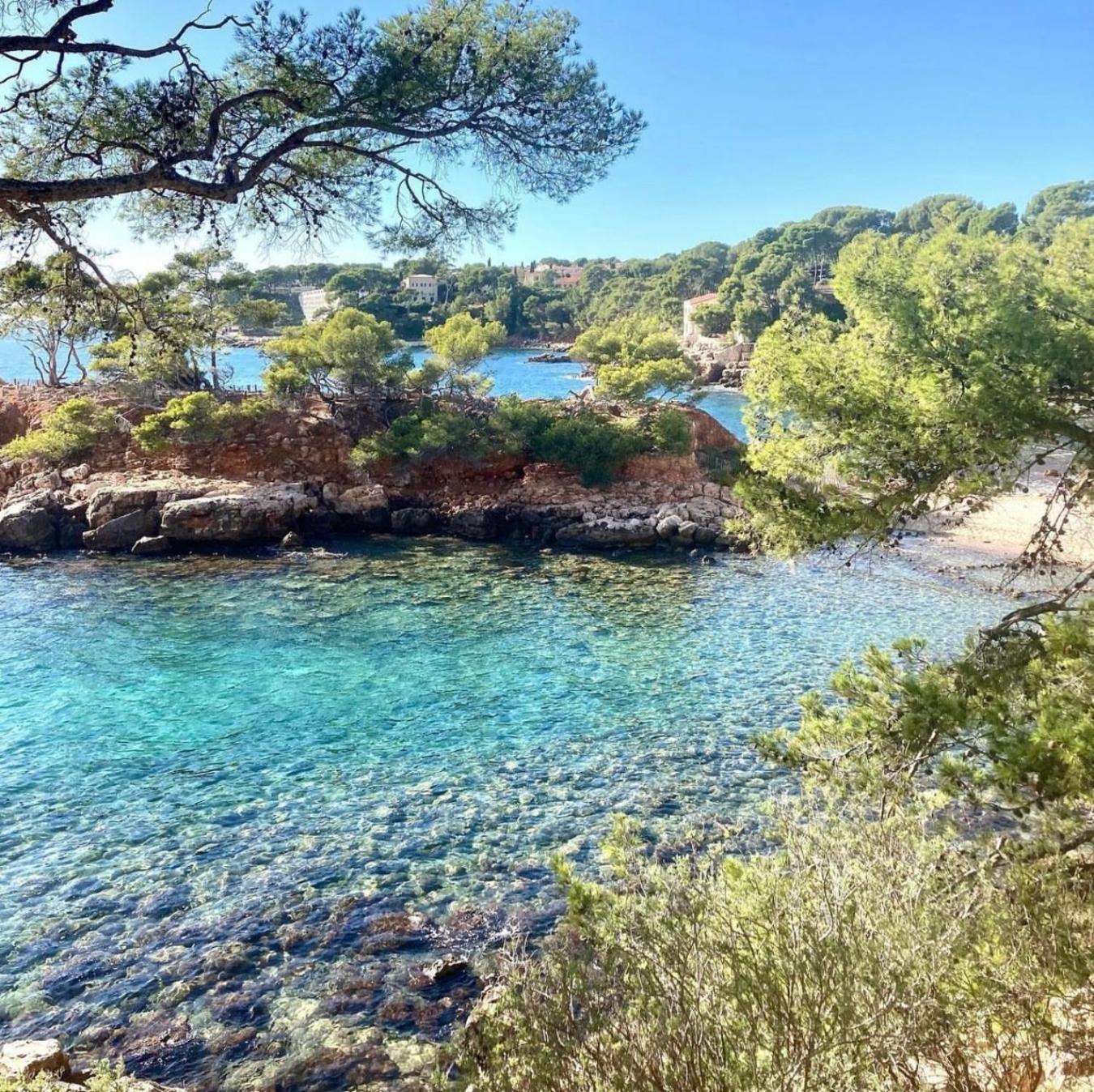 Logement Vue Mer Splendide - Situe A 50 Metres Du Bord De Mer Et 2 Minutes Des Plages - Bandolina Exteriér fotografie